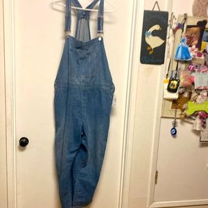 NWT Women’s Gap denim overalls plus size XXL.